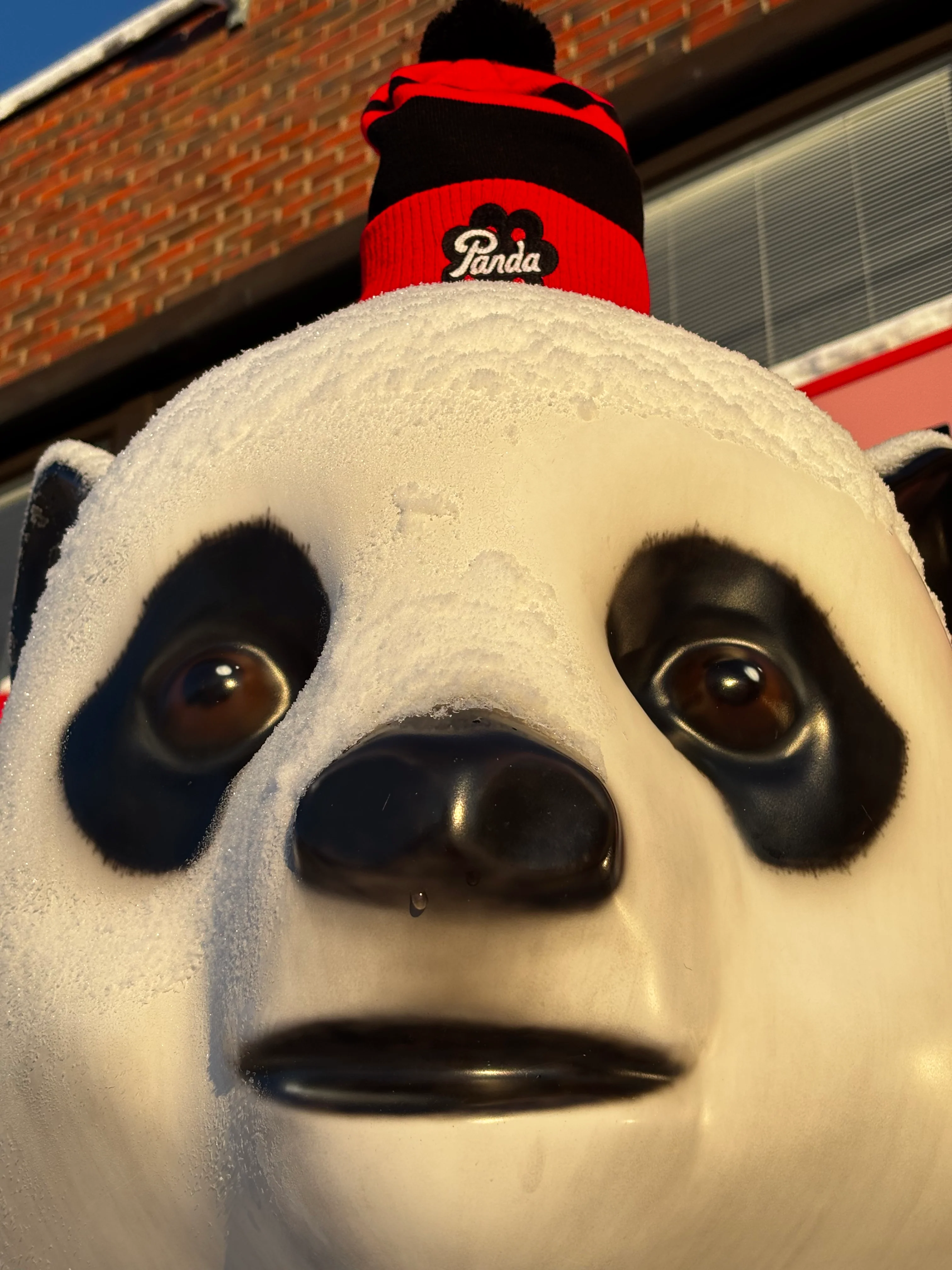Panda Lakukka -pipo - Image 3